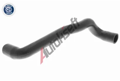 VAICO Hadice chladie VAC V10-4810, V10-4810