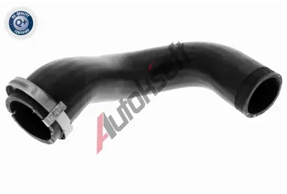VAICO Hadice plnicho vzduchu Q+, original equipment manufacturer quality VAC V10-4816, V10-4816