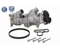 Vodn� pumpa - sada ozuben�ho �emene&nbsp;VAICO&nbsp;&dash;&nbsp;VAC V10-50114