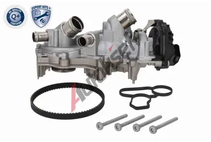 VAICO Vodn� pumpa - sada ozuben�ho �emene EXPERT KITS + VAC V10-50114, V10-50114