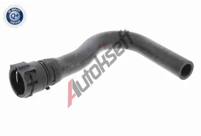 VAICO Hadice chladie VAC V10-5535, V10-5535