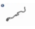 VAICO Hadice chladie VAC V10-5539, V10-5539