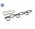 VAICO Sac trubkov modul EXPERT KITS + VAC V10-6482, V10-6482