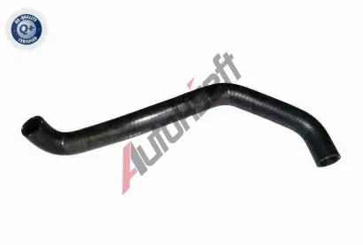VAICO Hadice chladie Q+, original equipment manufacturer quality VAC V10-7560, V10-7560