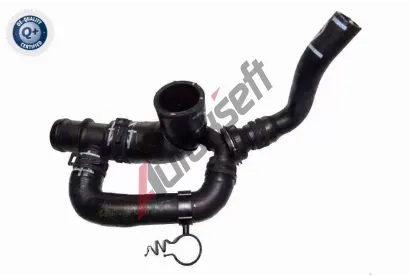 VAICO Hadice chladie Q+, original equipment manufacturer quality VAC V10-7561, V10-7561