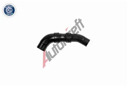 VAICO Hadice chladie VAC V10-8869, V10-8869