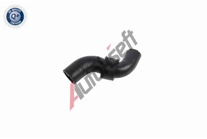 VAICO Hadice chladie VAC V10-8871, V10-8871