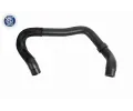 VAICO Hadice chladie ‐ VAC V10-8879