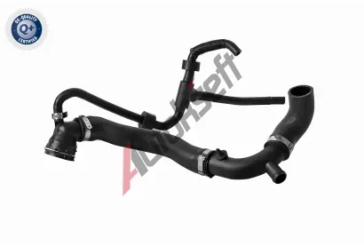 VAICO Hadice chladie VAC V10-8882, V10-8882