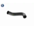 VAICO Hadice chladiče Q+, original equipment manufacturer quality VAC V10-9884, V10-9884