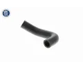 VAICO Hadice chladiče Q+, original equipment manufacturer quality VAC V10-9884, V10-9884