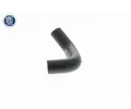 VAICO Hadice chladiče Q+, original equipment manufacturer quality VAC V10-9884, V10-9884