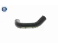 VAICO Hadice chladiče Q+, original equipment manufacturer quality VAC V10-9884, V10-9884
