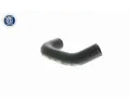 VAICO Hadice chladiče Q+, original equipment manufacturer quality VAC V10-9884, V10-9884