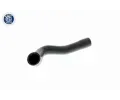 VAICO Hadice chladie ‐ VAC V20-0148