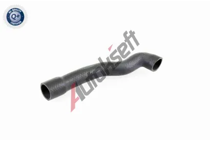 VAICO Hadice chladie VAC V20-1239, V20-1239