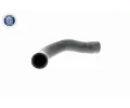 VAICO Hadice chladi�e&nbsp;&dash;&nbsp;VAC V20-1241