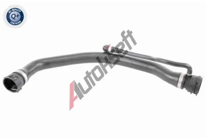 VAICO Hadice chladie VAC V20-1317, V20-1317