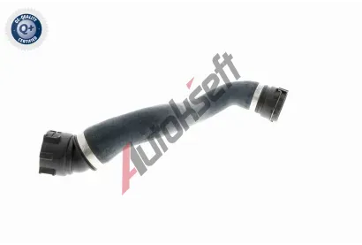 VAICO Hadice chladi�e VAC V20-1336, V20-1336