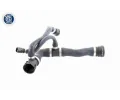 VAICO Hadice chladiče Q+, original equipment manufacturer quality VAC V20-1745, V20-1745
