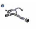 VAICO Hadice chladiče Q+, original equipment manufacturer quality VAC V20-1745, V20-1745