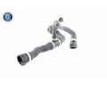 VAICO Hadice chladiče Q+, original equipment manufacturer quality VAC V20-1745, V20-1745