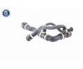 VAICO Hadice chladiče Q+, original equipment manufacturer quality VAC V20-1745, V20-1745