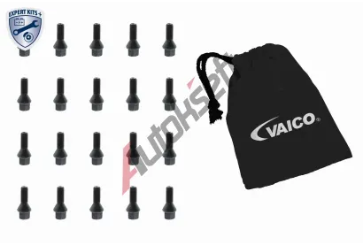 VAICO Šroub kola EXPERT KITS + VAC V20-2002-20, V20-2002-20 VAICO Šroub kola EXPERT KITS + VAC V20-2002-20, V20-2002-20