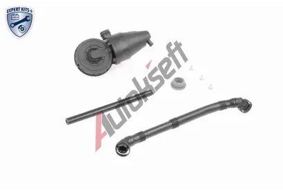 VAICO Reparatursatz, Kurbelgehuseentlftung VAC V20-2096, V20-2096