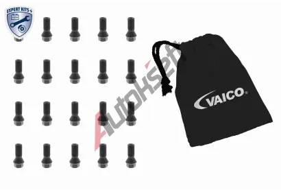 VAICO Šroub kola EXPERT KITS + VAC V20-2418-20, V20-2418-20 VAICO Šroub kola EXPERT KITS + VAC V20-2418-20, V20-2418-20