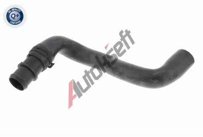 VAICO Hadice chladie VAC V20-2462, V20-2462