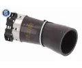 VAICO Hadice plnicího vzduchu Q+, original equipment manufacturer quality VAC V21-0040, V21-0040
