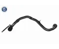 VAICO Hadice plnicího vzduchu Q+, original equipment manufacturer quality VAC V21-0052, V21-0052