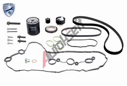 VAICO Sada ozuben� rozvodov�ho �emenu EXPERT KITS + VAC V22-1411, V22-1411