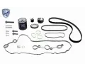 VAICO Sada ozuben� rozvodov�ho �emenu EXPERT KITS +&nbsp;&dash;&nbsp;VAC V22-1414