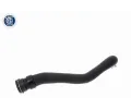 VAICO Hadice chladiče Q+, original equipment manufacturer quality VAC V25-1489, V25-1489