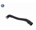 VAICO Hadice chladiče Q+, original equipment manufacturer quality VAC V25-1489, V25-1489