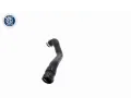 VAICO Hadice chladiče Q+, original equipment manufacturer quality VAC V25-1489, V25-1489