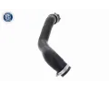 VAICO Hadice chladiče Q+, original equipment manufacturer quality VAC V25-1489, V25-1489