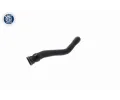 VAICO Hadice chladiče Q+, original equipment manufacturer quality VAC V25-1489, V25-1489