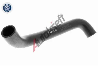 VAICO Hadice chladie Q+, original equipment manufacturer quality VAC V30-0252, V30-0252