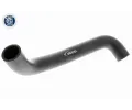 VAICO Hadice chladie Q+, original equipment manufacturer quality VAC V30-0252, V30-0252