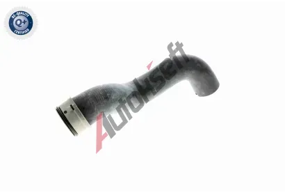 VAICO Hadice chladie VAC V30-1656, V30-1656