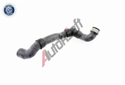 VAICO Hadice chladie Q+, original equipment manufacturer quality VAC V30-1658, V30-1658