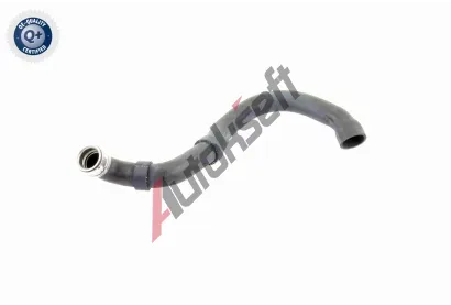VAICO Hadice chladie VAC V30-1661, V30-1661