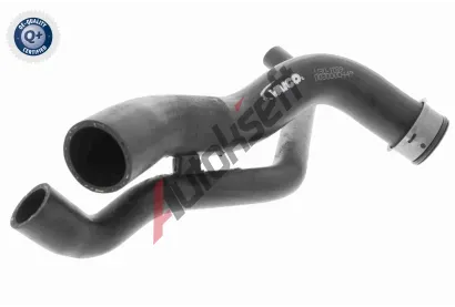VAICO Hadice chladie VAC V30-1769, V30-1769