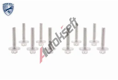 VAICO Sortiment roub EXPERT KITS + VAC V30-2321, V30-2321