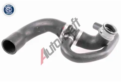 VAICO Hadice chladie Q+, original equipment manufacturer quality VAC V30-2902, V30-2902