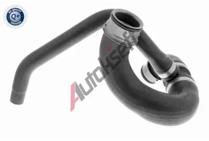 VAICO Hadice chladie VAC V30-3147, V30-3147