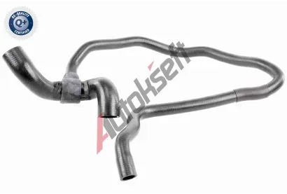 VAICO Hadice chladie VAC V40-1164, V40-1164